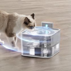 Silent Leak Proof Cat Drinking Fountain